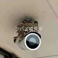 画像236