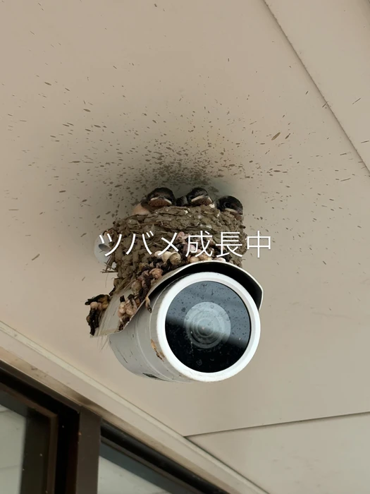 画像236