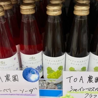 画像255