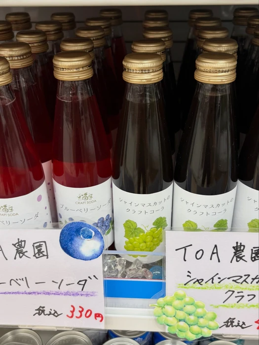 画像255